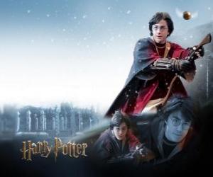yapboz Harry Potter bir avcı topu yakalamak için çalışıyor gibi büyülü süpürge ile Quidditch oynamak